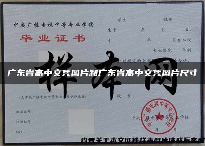 廣東省高中文憑圖片和廣東省高中文憑圖片尺寸