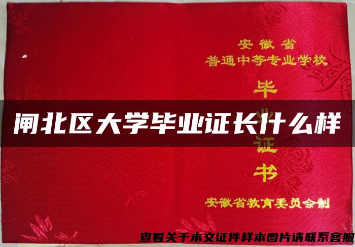 閘北區大學畢業證長什么樣