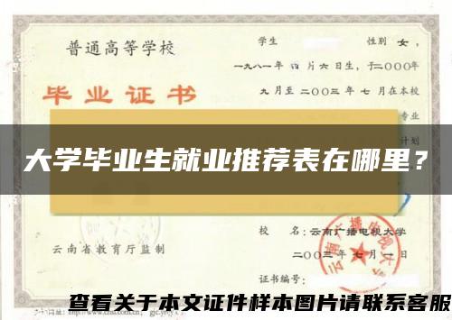 大學畢業生就業推薦表在哪里？