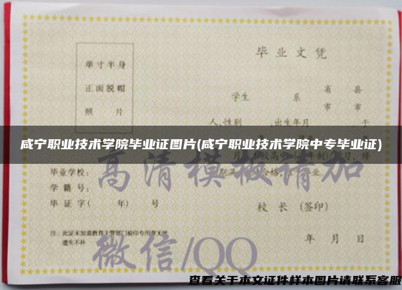 咸寧職業技術學院畢業證圖片(咸寧職業技術學院中專畢業證)
