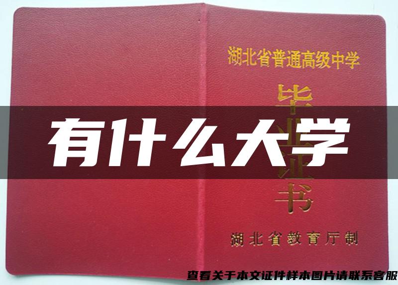 有什么大學