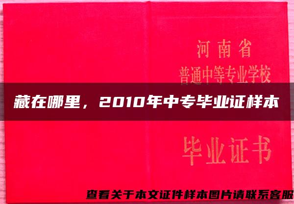 藏在哪里，2010年中專畢業證樣本