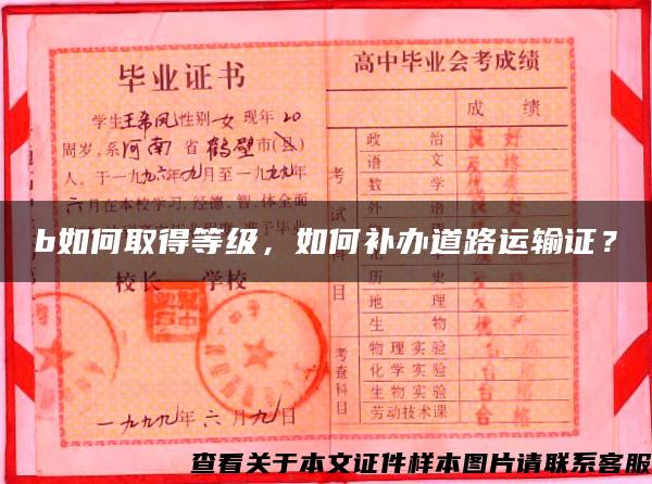 b如何取得等級，如何補辦道路運輸證？