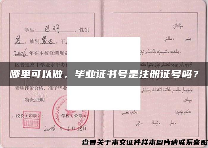 哪里可以做，畢業證書號是注冊證號嗎？