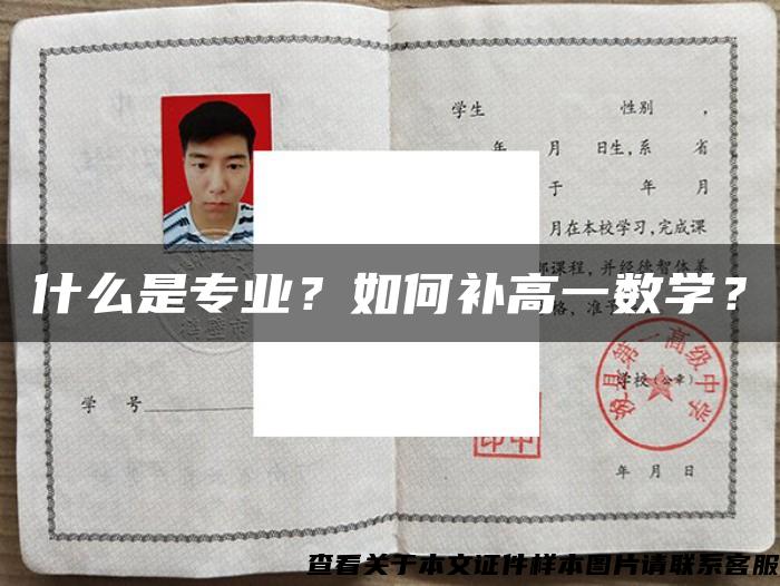 什么是專業？如何補高一數學？