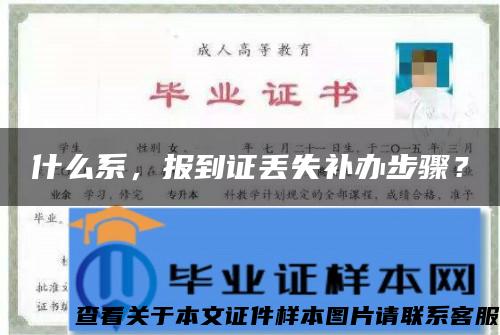 什么系，報到證丟失補辦步驟？
