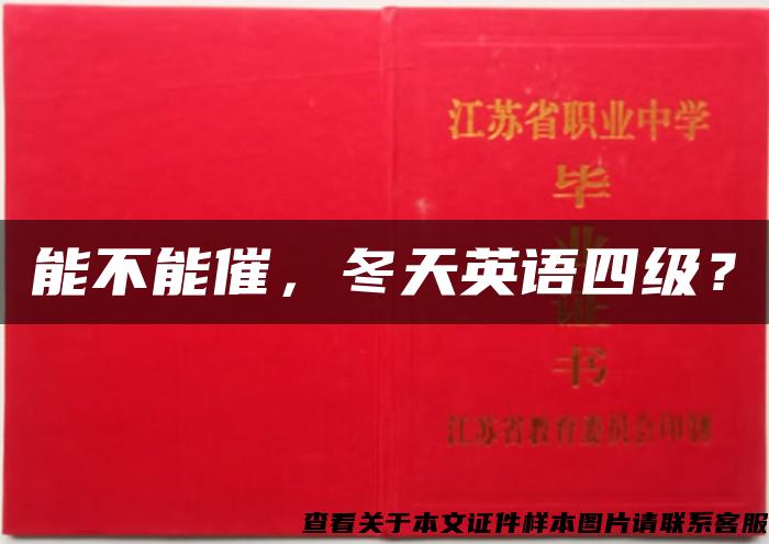 能不能催，冬天英語四級？