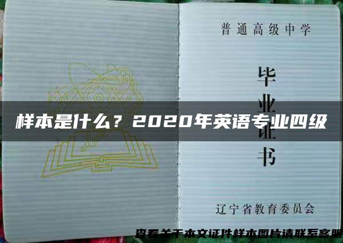 樣本是什么？2020年英語專業四級