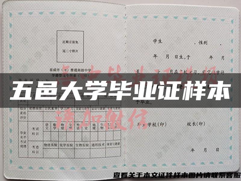 五邑大學畢業證樣本