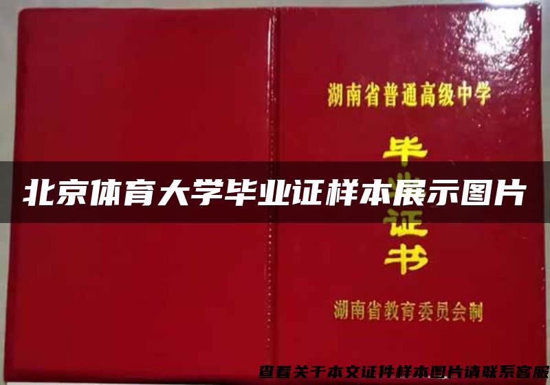 北京體育大學畢業證樣本展示圖片