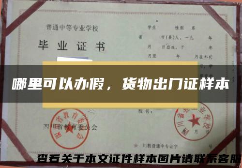 哪里可以辦假，貨物出門證樣本