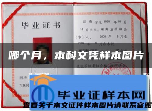 哪個月，本科文憑樣本圖片