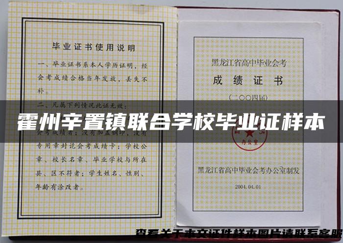 霍州辛置鎮聯合學校畢業證樣本