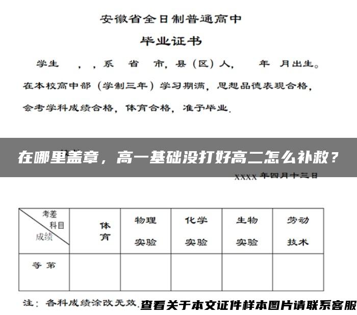 在哪里蓋章，高一基礎沒打好高二怎么補救？