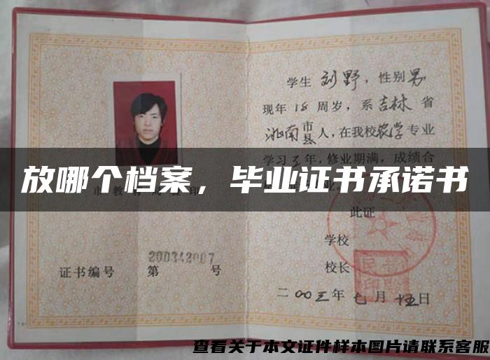 放哪個檔案，畢業證書承諾書