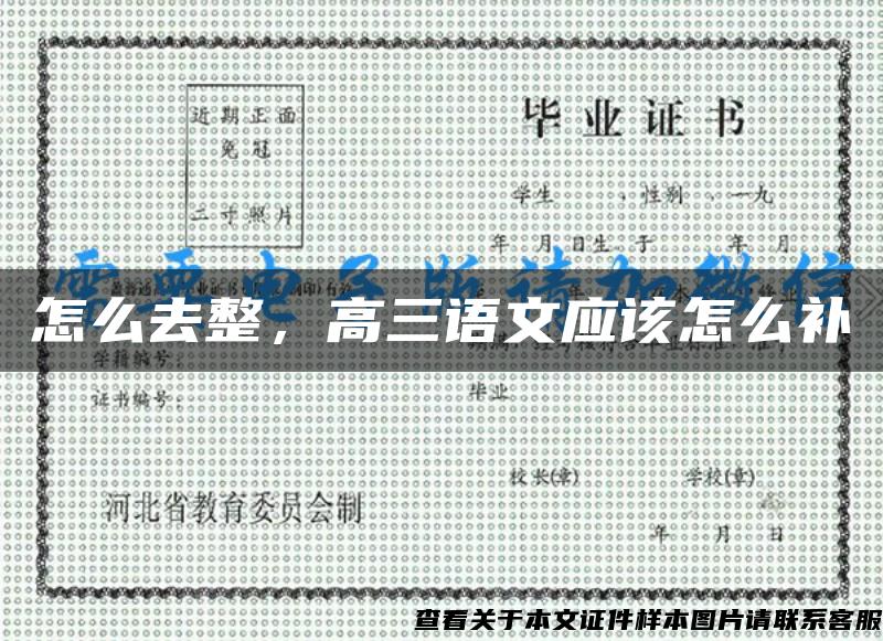 怎么去整，高三語文應該怎么補