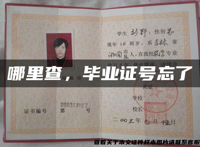 哪里查，畢業證號忘了