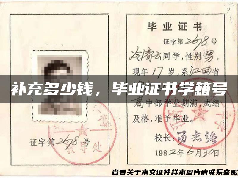 補充多少錢，畢業證書學籍號