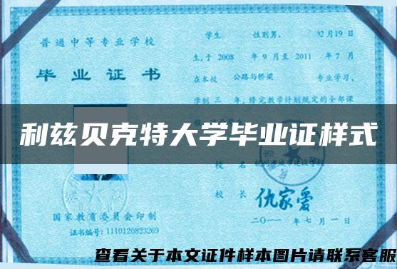 利茲貝克特大學畢業證樣式