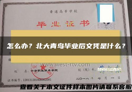 怎么辦？北大青鳥畢業后文憑是什么？