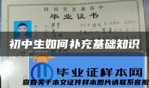 初中生如何補充基礎知識