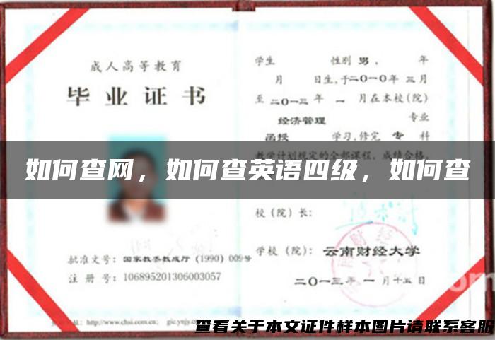 如何查網，如何查英語四級，如何查
