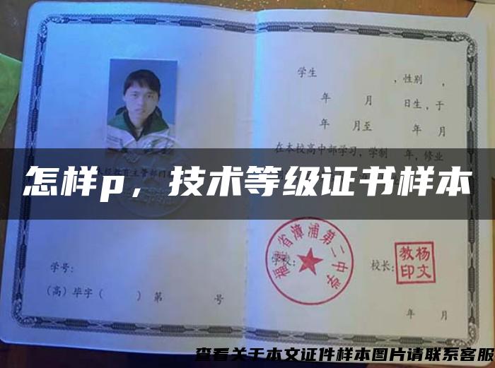 怎樣p，技術等級證書樣本