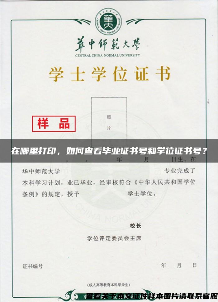 在哪里打印，如何查看畢業證書號和學位證書號？