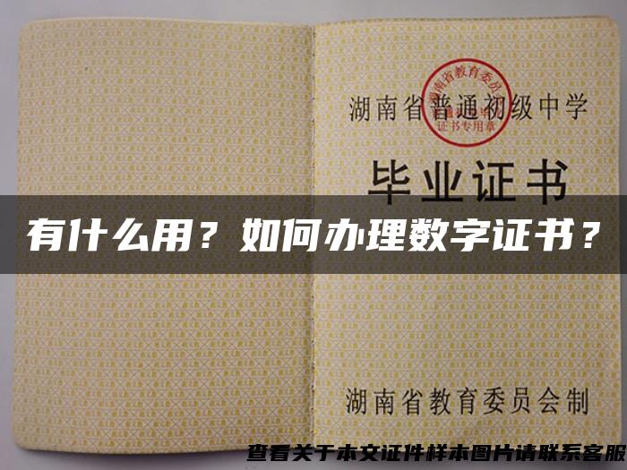 有什么用？如何辦理數字證書？