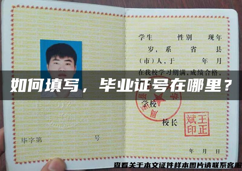 如何填寫，畢業證號在哪里？