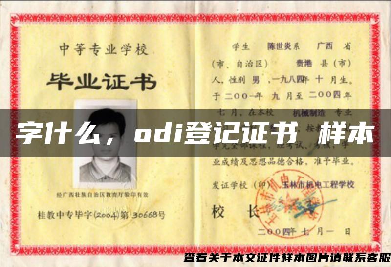 字什么，odi登記證書 樣本