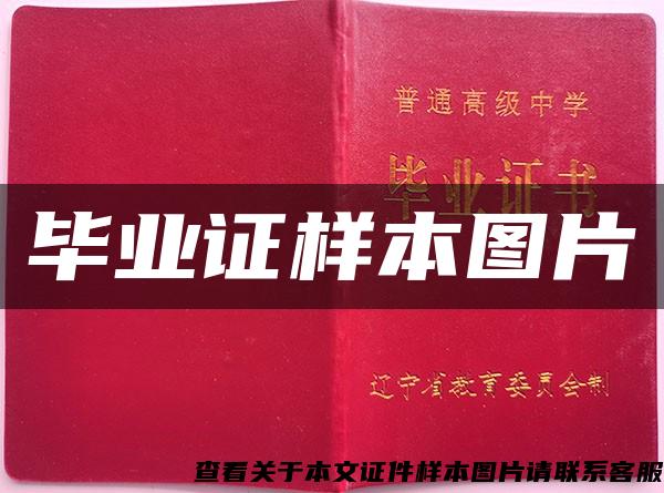 畢業證樣本圖片
