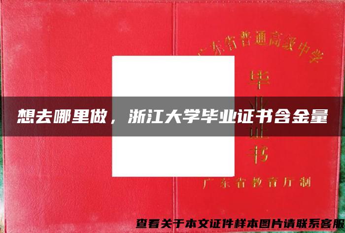 想去哪里做，浙江大學畢業證書含金量