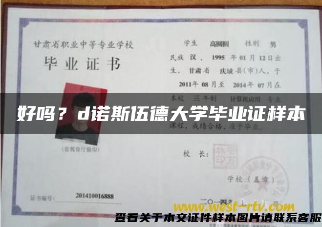 好嗎？d諾斯伍德大學畢業證樣本