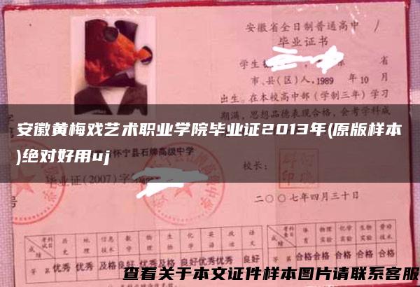 安徽黃梅戲藝術職業學院畢業證2013年(原版樣本)絕對好用uj