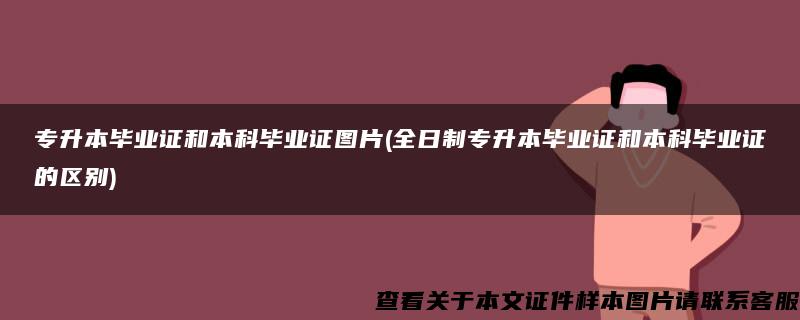 專升本畢業證和本科畢業證圖片(全日制專升本畢業證和本科畢業證的區別)