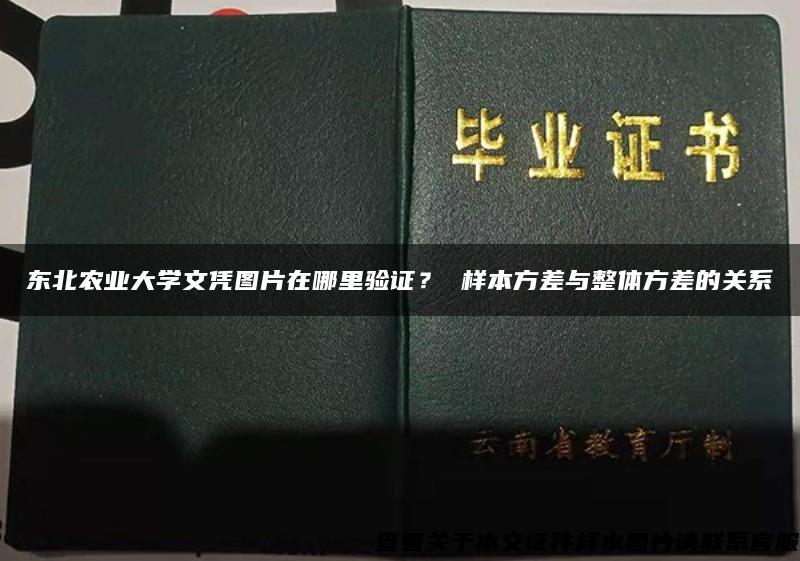 東北農業大學文憑圖片在哪里驗證？ 樣本方差與整體方差的關系