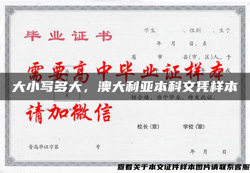 大小寫多大，澳大利亞本科文憑樣本