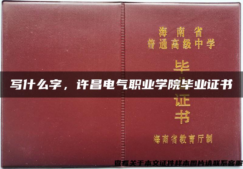 寫什么字，許昌電氣職業學院畢業證書