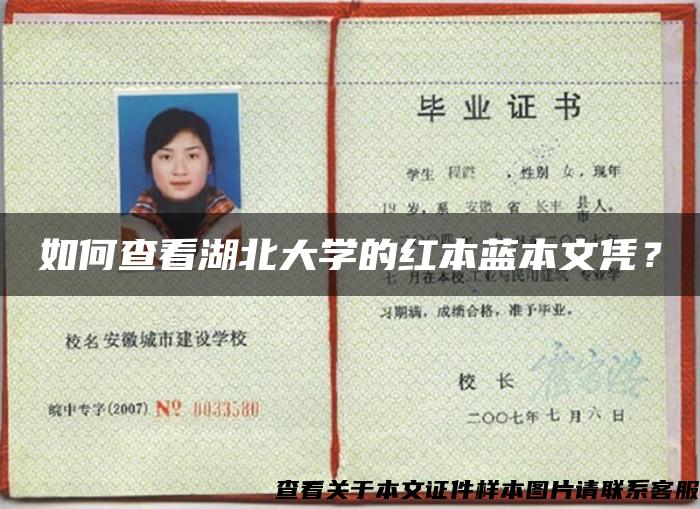 如何查看湖北大學的紅本藍本文憑？
