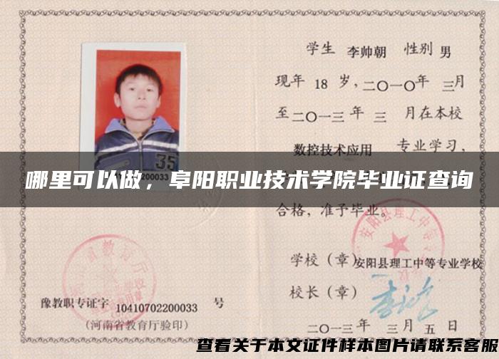 哪里可以做，阜陽職業技術學院畢業證查詢