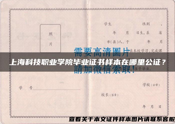 上?？萍悸殬I學院畢業證書樣本在哪里公證？