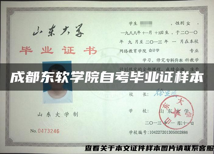 成都東軟學院自考畢業證樣本