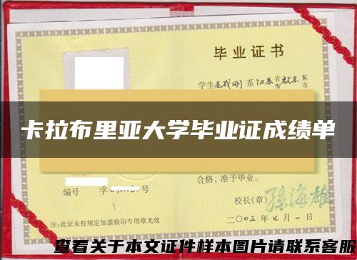 卡拉布里亞大學畢業證成績單