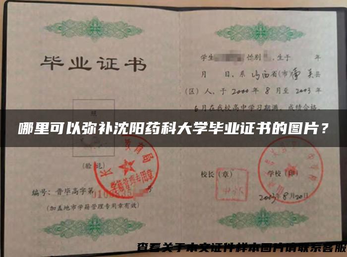 哪里可以彌補沈陽藥科大學畢業證書的圖片？