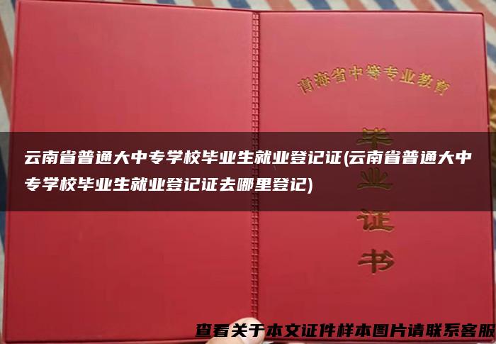 云南省普通大中專學校畢業生就業登記證(云南省普通大中專學校畢業生就業登記證去哪里登記)
