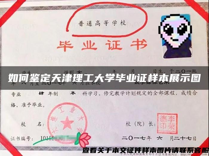 如何鑒定天津理工大學畢業證樣本展示圖