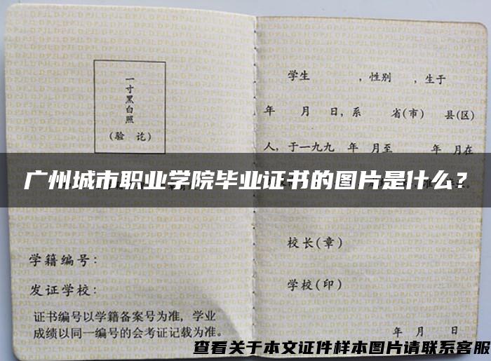 廣州城市職業學院畢業證書的圖片是什么？