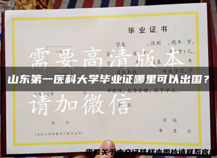 山東第一醫科大學畢業證哪里可以出國？