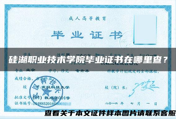 硅湖職業技術學院畢業證書在哪里查？